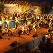 KG Fidele Bröhler Falkenjäger (11.02.12)